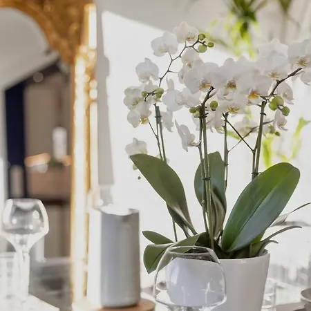 Maison De Charme - Vues Montagnes - Villa Aix-les-Bains