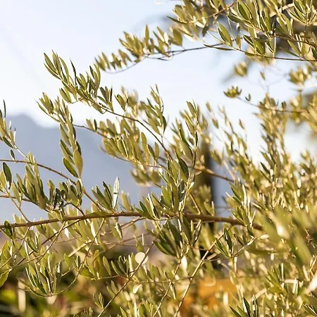 Villa Maison De Charme - Vues Montagnes -