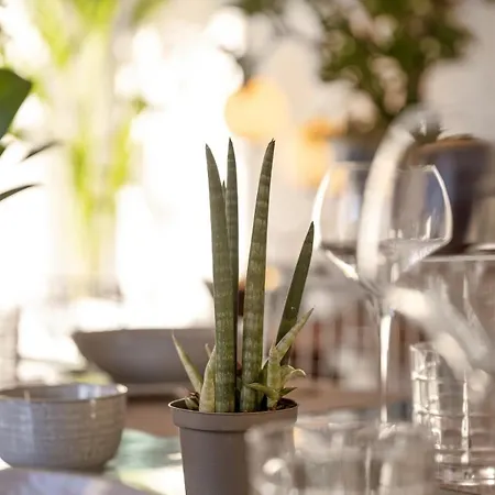 Maison De Charme - Vues Montagnes - * Aix-les-Bains