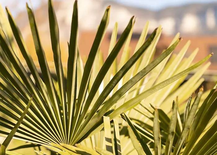 Maison De Charme - Vues Montagnes - ヴィラ