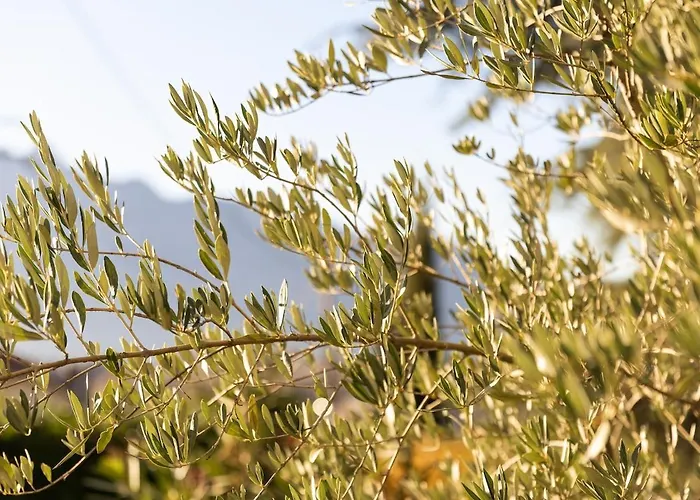 ヴィラ Maison De Charme - Vues Montagnes -