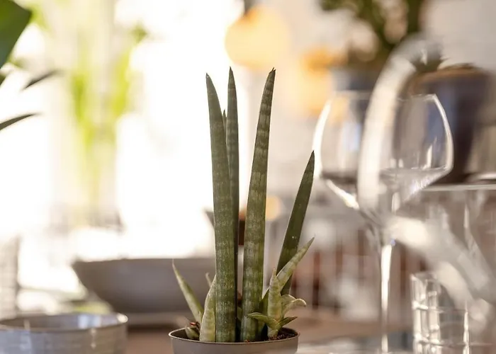 Maison De Charme - Vues Montagnes - * エクスレバン